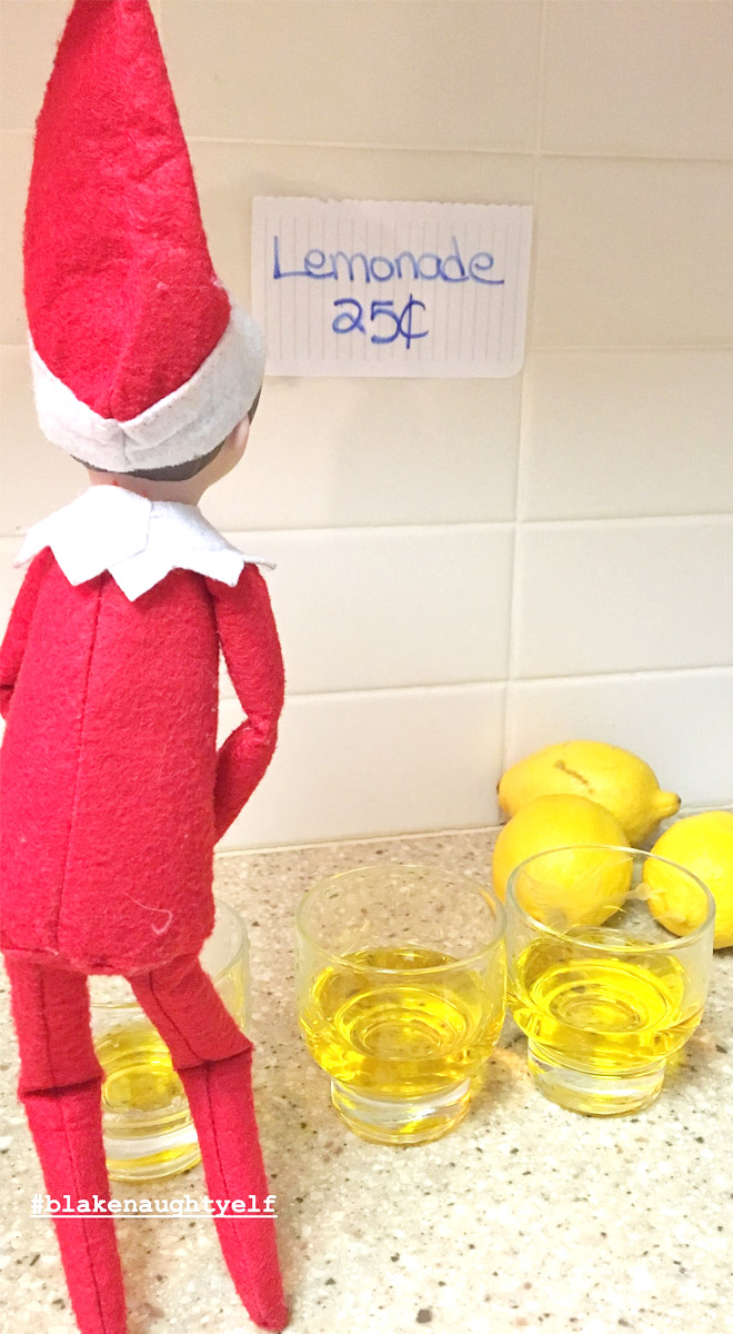 The Inappropriate Elf on the Shelf Photo Contest